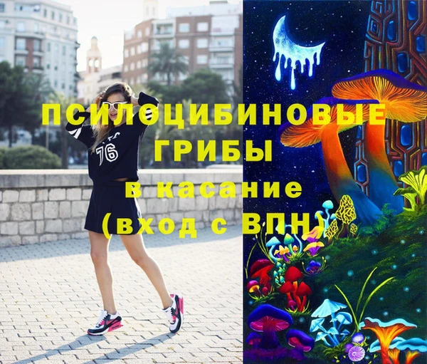 кокс Баксан